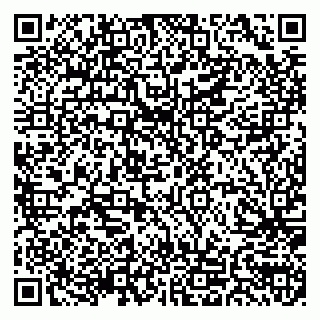 vCard 79155200260