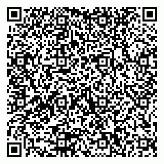 vCard 79155200263