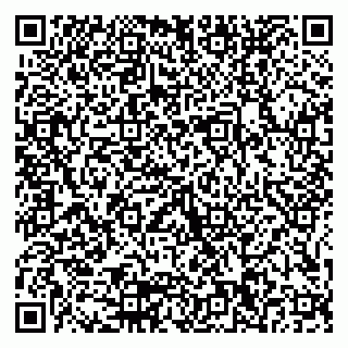vCard 79155200271
