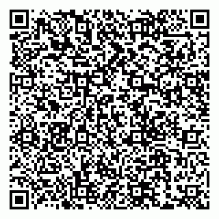 vCard 79155200285