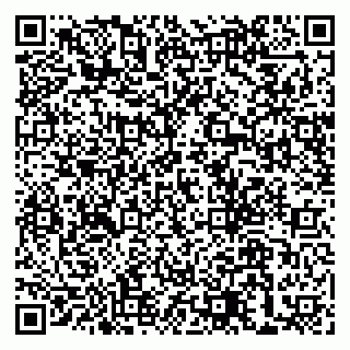vCard 79155200293