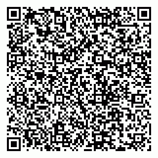 vCard 79155200294