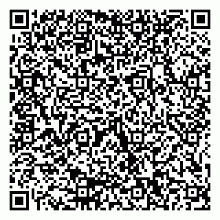 vCard 79155200303
