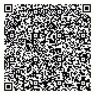 vCard 79155200310