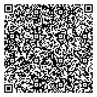 vCard 79155200311