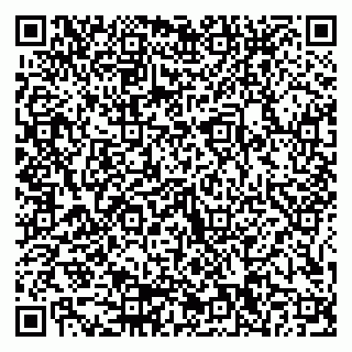 vCard 79155200313