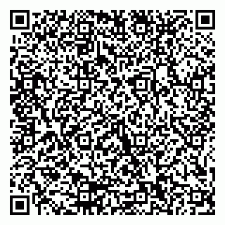 vCard 79155200314