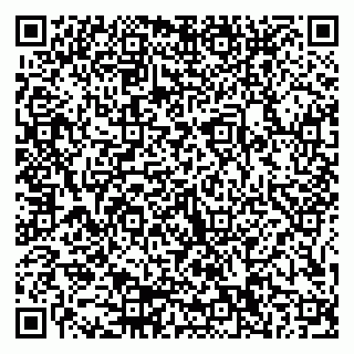 vCard 79155200317