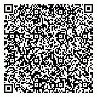 vCard 79155200318