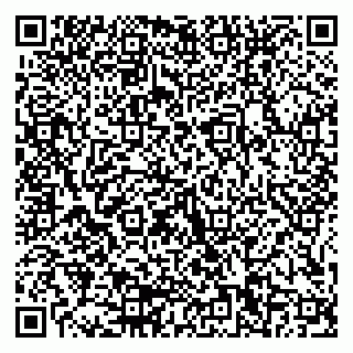 vCard 79155200319