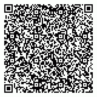 vCard 79155200324