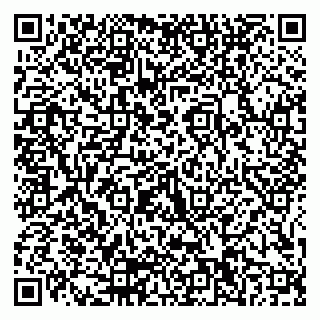 vCard 79155200325
