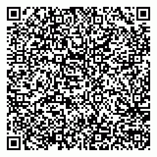 vCard 79155200329