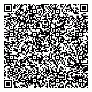 vCard 79155200331
