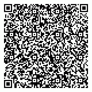 vCard 79155200335