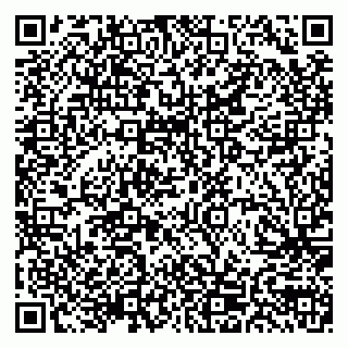 vCard 79155200348