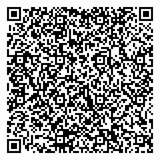 vCard 79155200367
