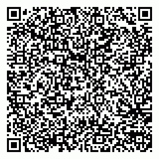 vCard 79155200375