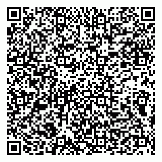 vCard 79158000294