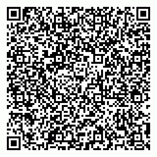 vCard 79158900003