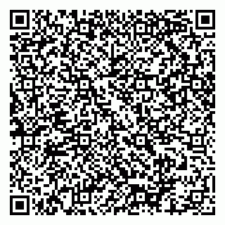 vCard 79159000413