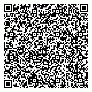 vCard 79159001739