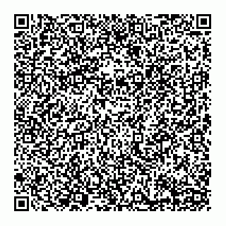 vCard 79161904963