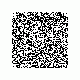 vCard 79163038604