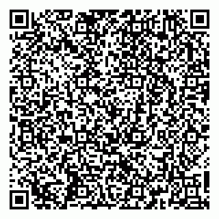 vCard 79163273587