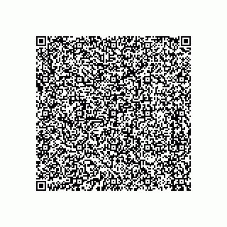 vCard 79163871238