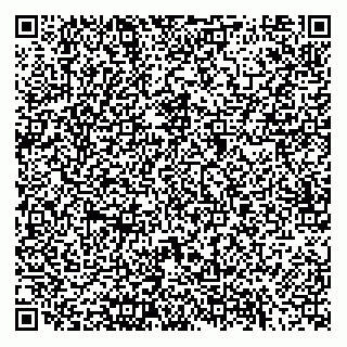 vCard 79170420303