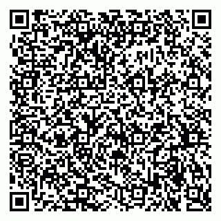 vCard 79170720297