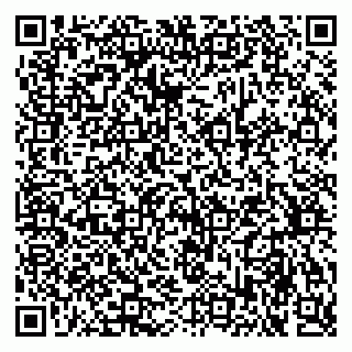 vCard 79170720299