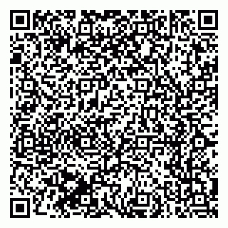vCard 79170720313