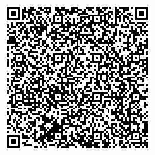 vCard 79170720314