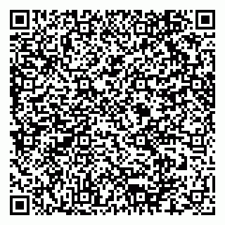 vCard 79170720318