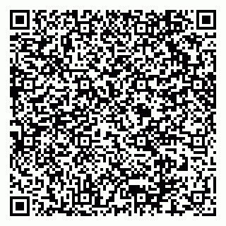vCard 79170720338