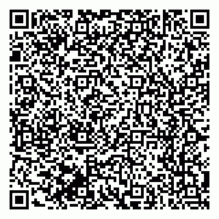 vCard 79170720383