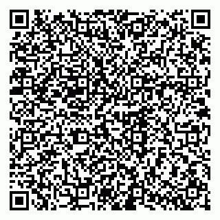 vCard 79170720385