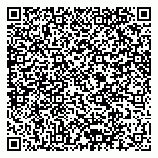 vCard 79170720389