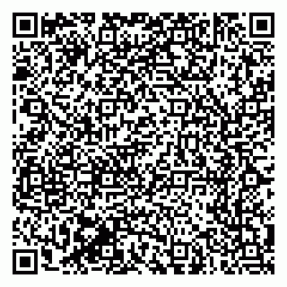 vCard 79170720390