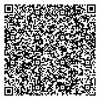 vCard 79170720391