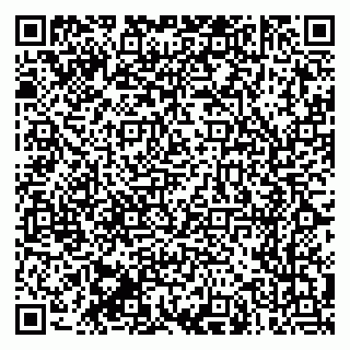 vCard 79170720393