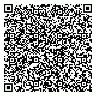 vCard 79170720398