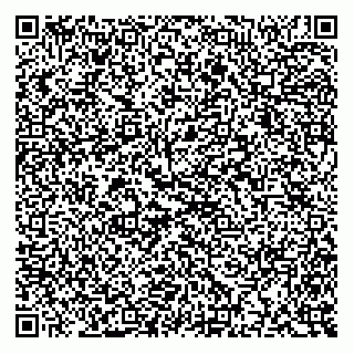 vCard 79172411411