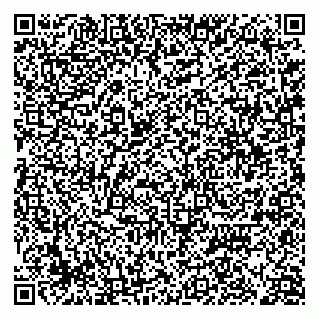 vCard 79172703100