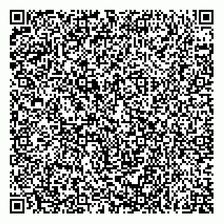 vCard 79172703383