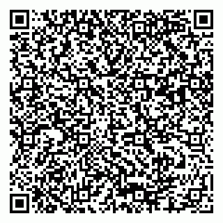 vCard 79173000001