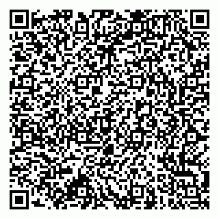 vCard 79173000022