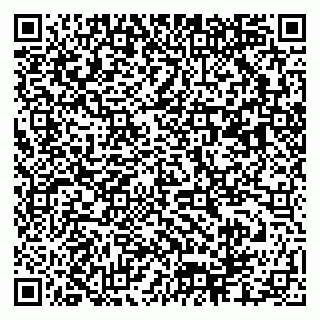 vCard 79173000139